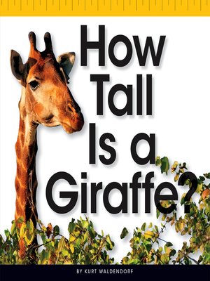 cover image of How Tall Is a Giraffe?